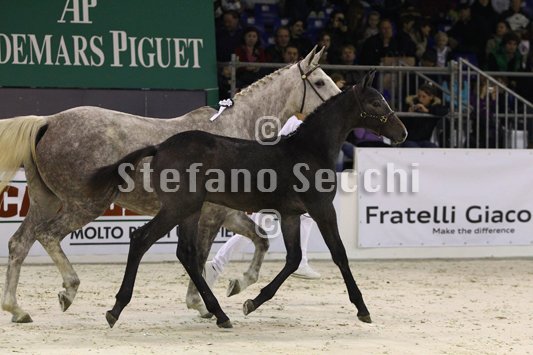 CA D ORO_MILANO_2010_SS3_3961.jpg